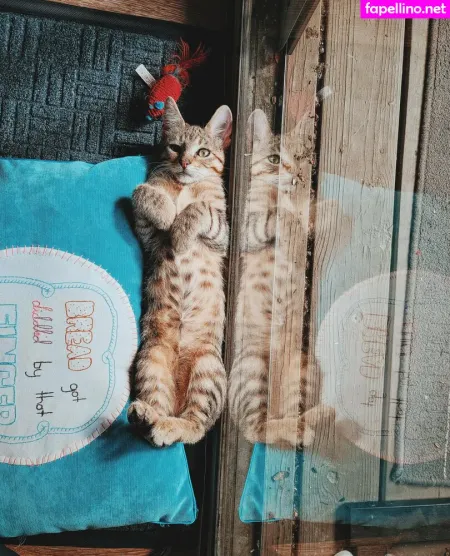 Fosterkittendad OnlyFans Thumbnail #LiFT6koC8j