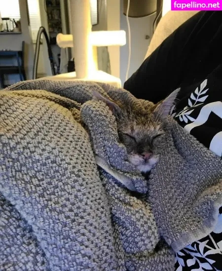 Fosterkittendad OnlyFans Thumbnail #NgNUVzowNF