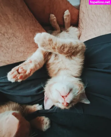 Fosterkittendad OnlyFans Thumbnail #RlEDAUx26Q