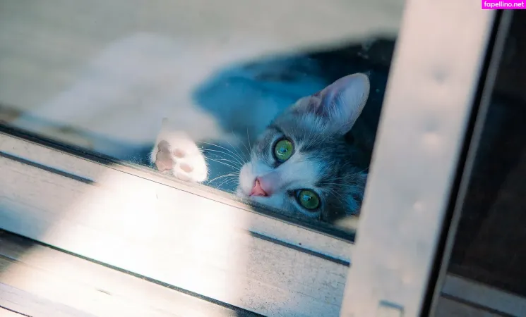 Fosterkittendad OnlyFans Thumbnail #TKx5RJINnm