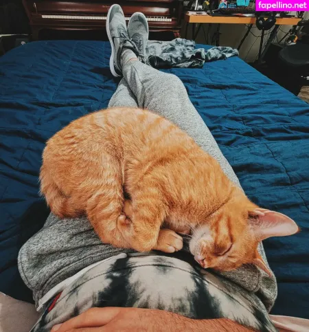 Fosterkittendad OnlyFans Thumbnail #TrWSnkhQWk