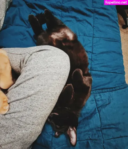 Fosterkittendad OnlyFans Thumbnail #aQvw3pfuDw