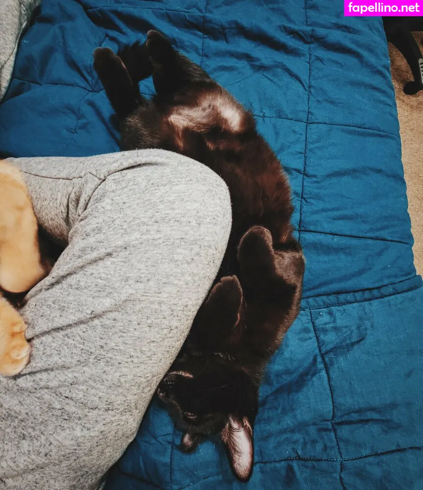 fosterkittendad Nude Leaked OnlyFans Photo #aQvw3pfuDw