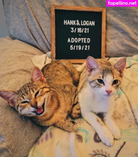 Fosterkittendad OnlyFans Thumbnail #h2JdY8qXI3