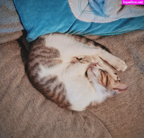 Fosterkittendad OnlyFans Thumbnail #mGwZaQ6h60