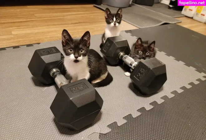 Fosterkittendad OnlyFans Thumbnail #rDgKIPepGR