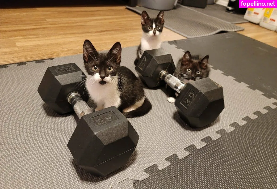 fosterkittendad Nude Leaked OnlyFans Photo #rDgKIPepGR