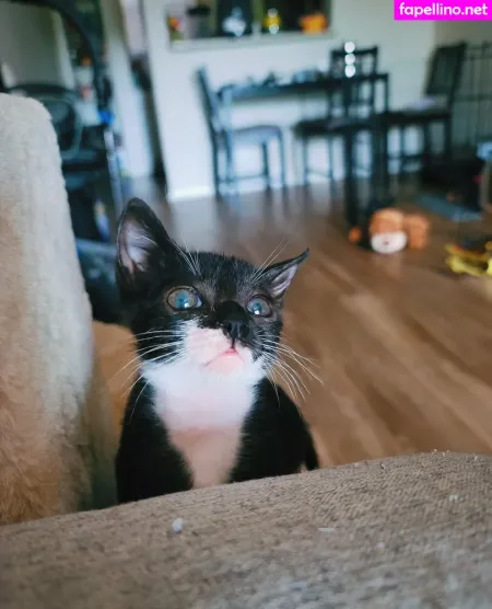 Fosterkittendad OnlyFans Thumbnail #sh6M8AUfPB