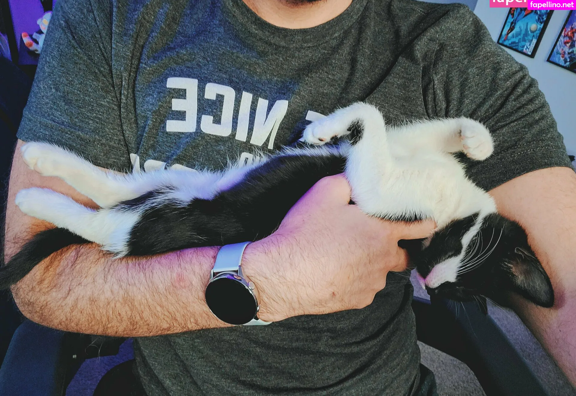 fosterkittendad Nude Leaked OnlyFans Photo #t2X5WrQkyT