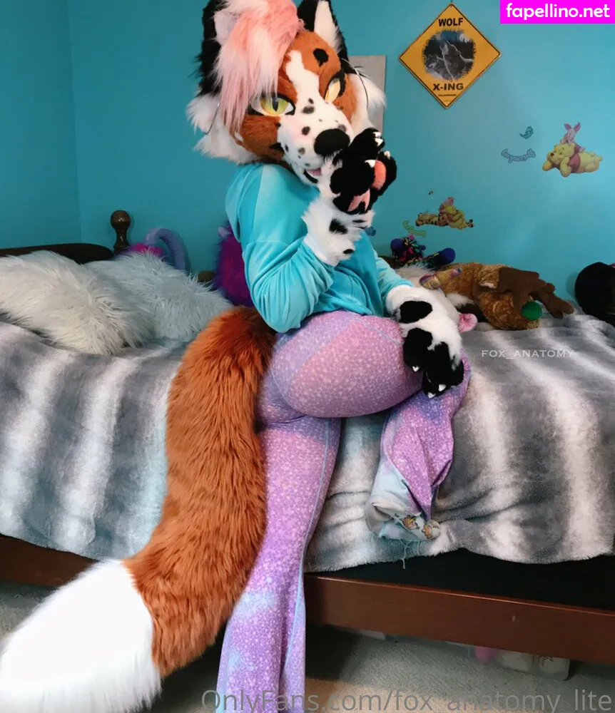 __littlefox__, fox_anatomy_lite Nude Leaked OnlyFans Photo #3E13Z2f1qV
