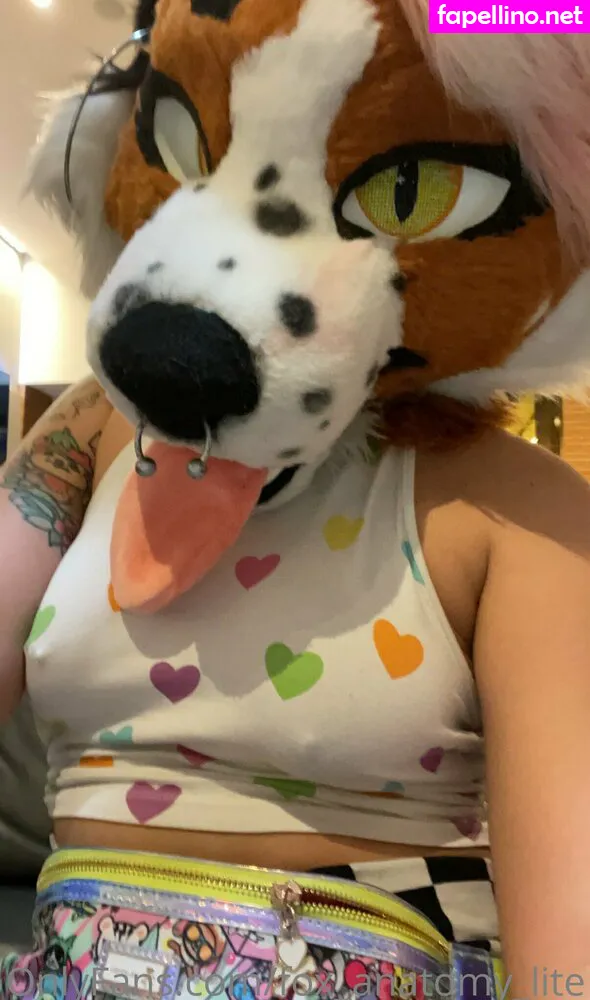 __littlefox__, fox_anatomy_lite Nude Leaked OnlyFans Photo #TEGTLt6dhJ