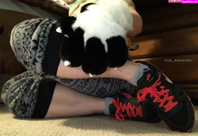 Fox Anatomy OnlyFans Thumbnail #kRGDmU2PPc