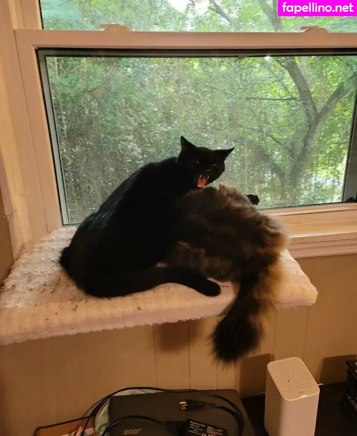 foxygamergirl__, foxygamergurl Nude Leaked OnlyFans Photo #DodUtcvcca