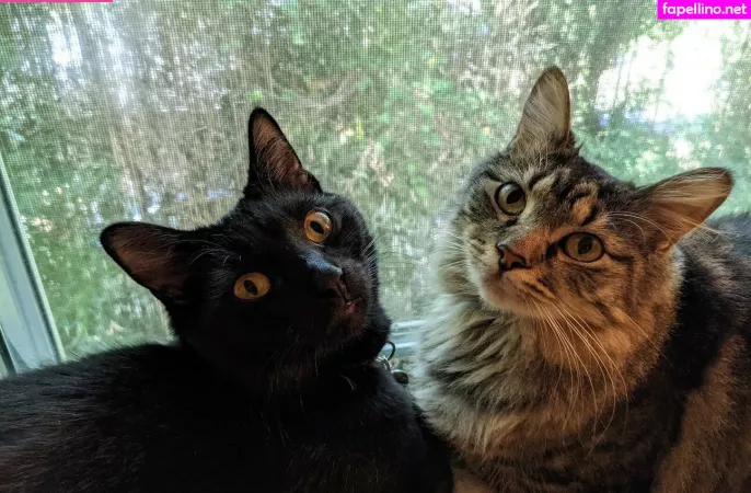 Foxygamergurl OnlyFans Thumbnail #a6wQsdZ8cg