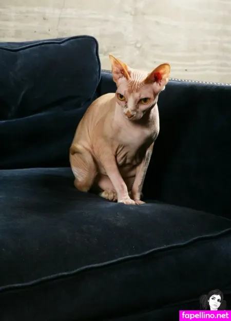 Fractal Sg OnlyFans Thumbnail #UjKdpMPTxV