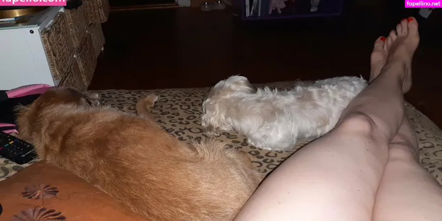 Frauleinschmittfree OnlyFans Thumbnail #JuTw3GA2C7