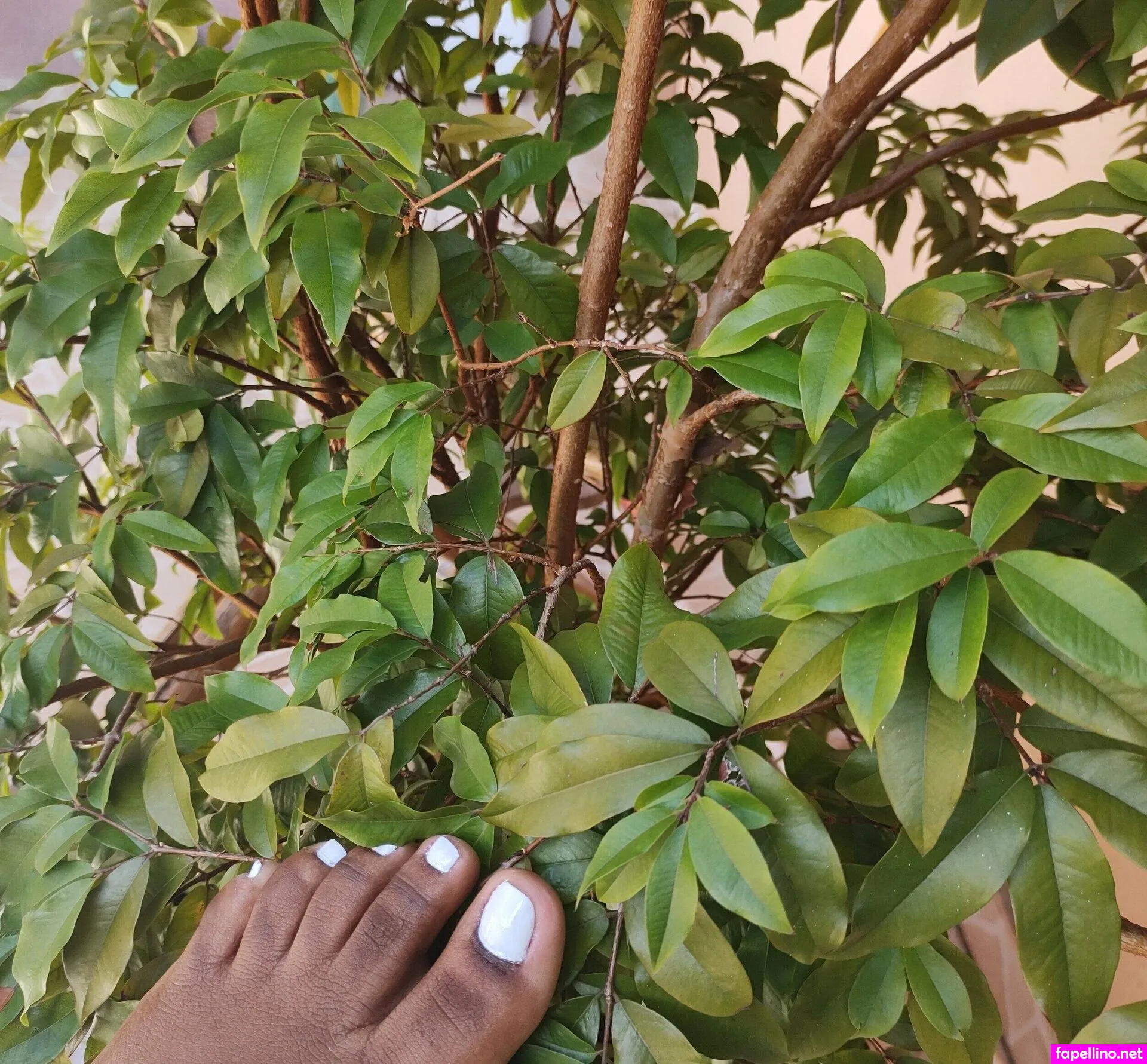 free.una.noir, un.peu.noir Nude Leaked OnlyFans Photo #G5x08Lo2xM