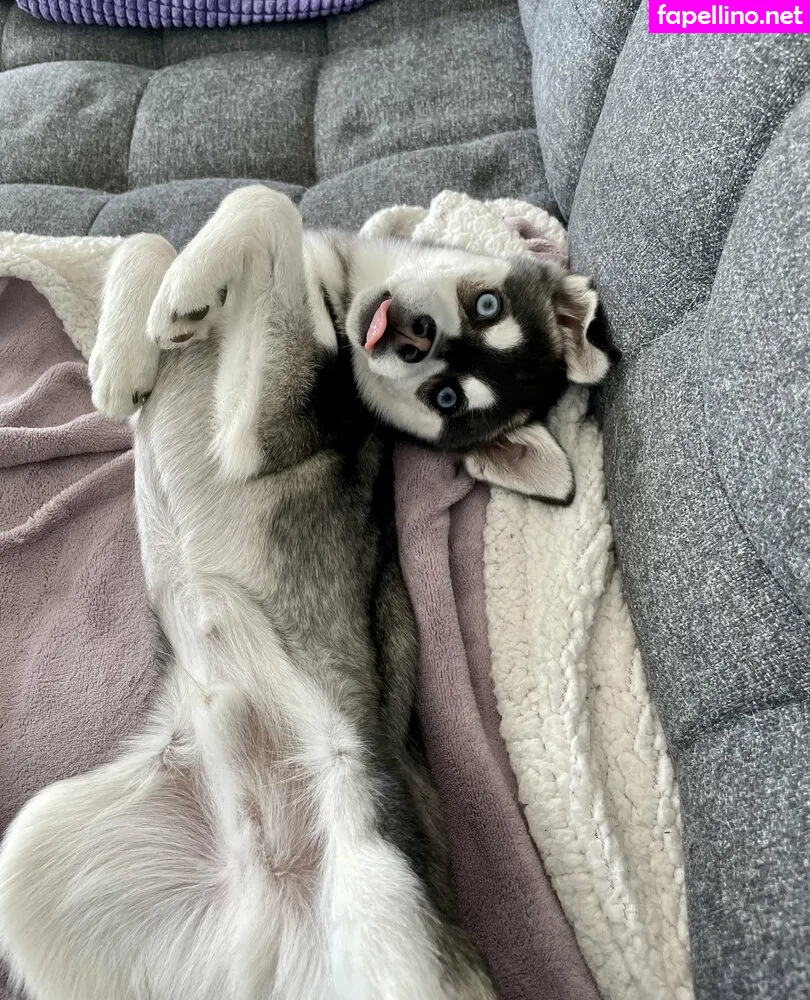 freefrost Nude Leaked OnlyFans Photo #fspL15eZ9F