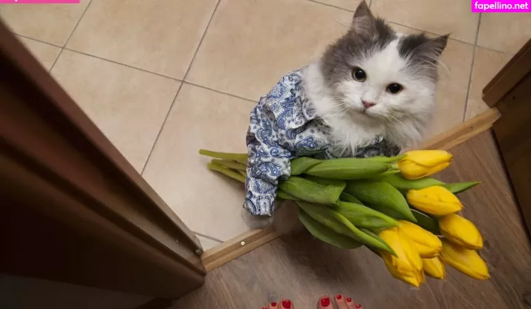 Freekatycupcake OnlyFans Thumbnail #mIrhJpdAg5