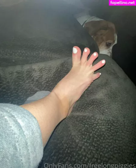 Freelongpiggies OnlyFans Thumbnail #V4bsO2Xr7s
