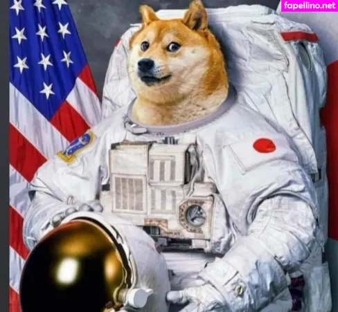 Freemadbadvoodoo OnlyFans Thumbnail #vINzttygrF