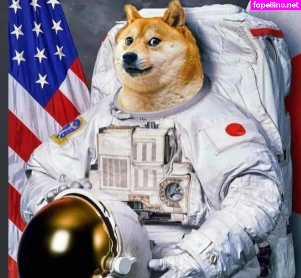 dmo305, freemadbadvoodoo Nude Leaked OnlyFans Photo #vINzttygrF