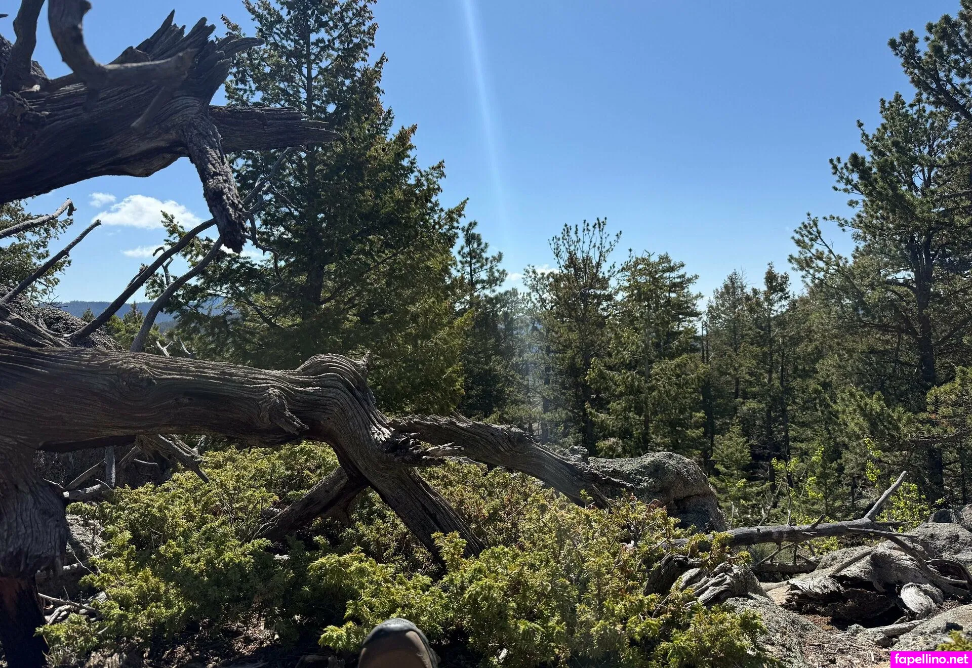 freemiasophia, miasophiatv Nude Leaked OnlyFans Photo #2z8gLo53SD