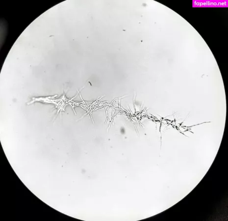 Freesexypsychedelic OnlyFans Thumbnail #NVawPSECna