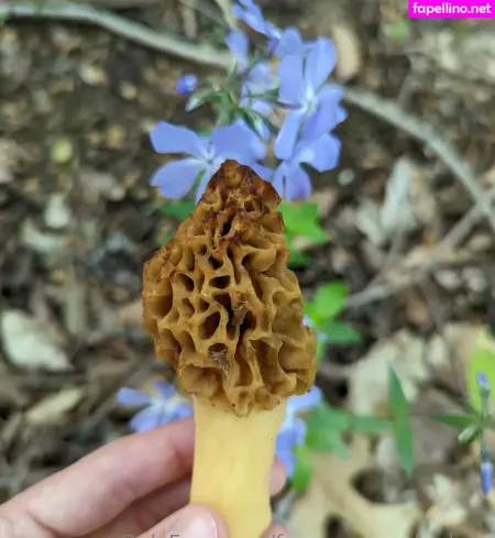 Freesexypsychedelic OnlyFans Thumbnail #fQsglPUFMd