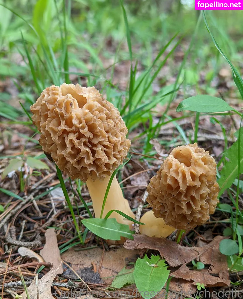 freesexypsychedelic Nude Leaked OnlyFans Photo #iHkTE3kaWi