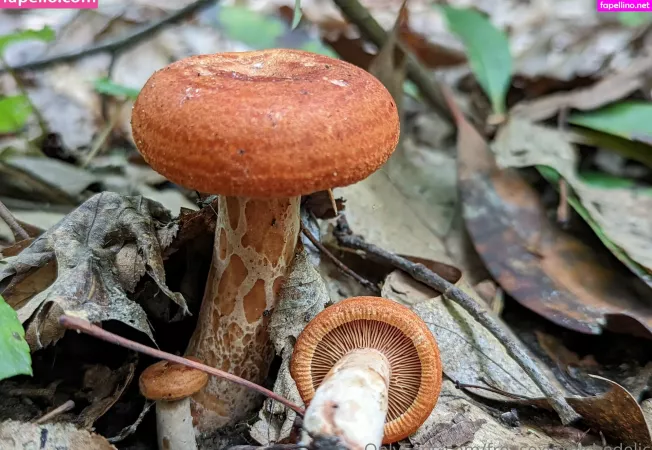 Freesexypsychedelic OnlyFans Thumbnail #nJNJppeIel