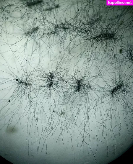 Freesexypsychedelic OnlyFans Thumbnail #rR0jYyGE1S