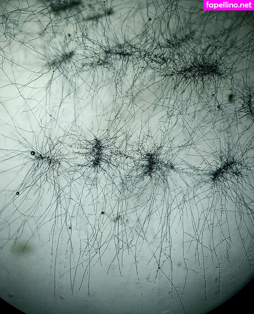 freesexypsychedelic Nude Leaked OnlyFans Photo #rR0jYyGE1S