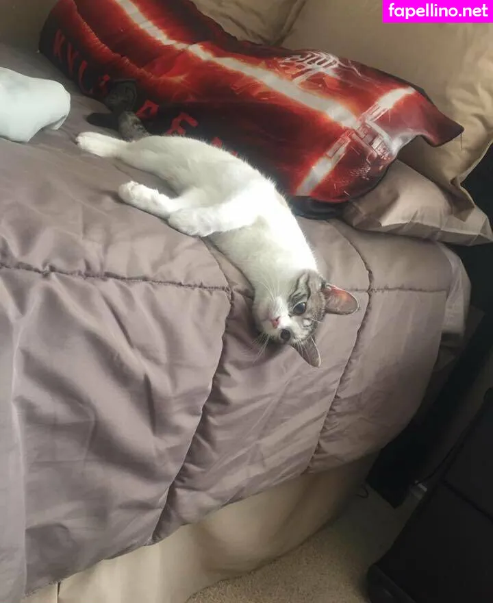 freesoda.grl, that.soda.grl Nude Leaked OnlyFans Photo #Qxi9XQdOkL