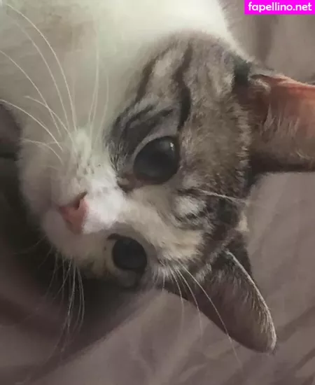 Freesoda Grl OnlyFans Thumbnail #w7orPU7bel