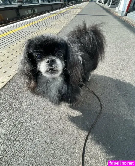 Freeswedishjennifer OnlyFans Thumbnail #ajeNU1Lsxb