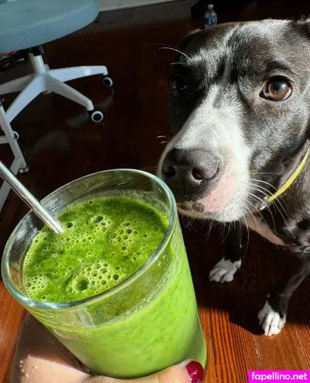 Freetamago Zz 2 OnlyFans Thumbnail #B7nU1gZWdW