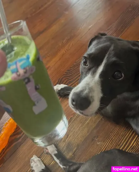 Freetamago Zz 2 OnlyFans Thumbnail #rnfiJ5wKlL