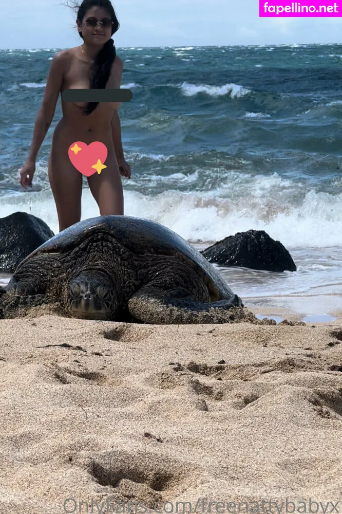 freexnattybaby, natxbaby Nude Leaked OnlyFans Photo #KBk6sjleOF