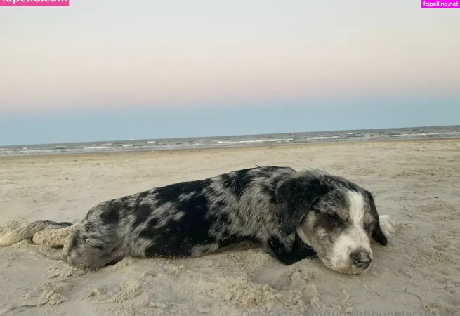 Funwithbubblerainbow OnlyFans Thumbnail #t0jHDR5SwH