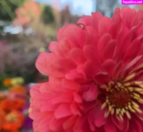 Futurama OnlyFans Thumbnail #0CSAY4fBxW