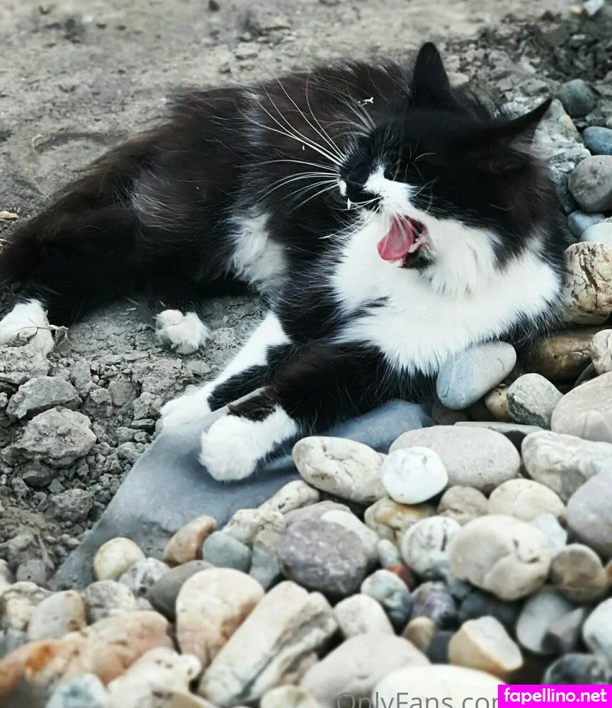 g_luna, iamgabrielluna Nude Leaked OnlyFans Photo #AMbKv6XjOR