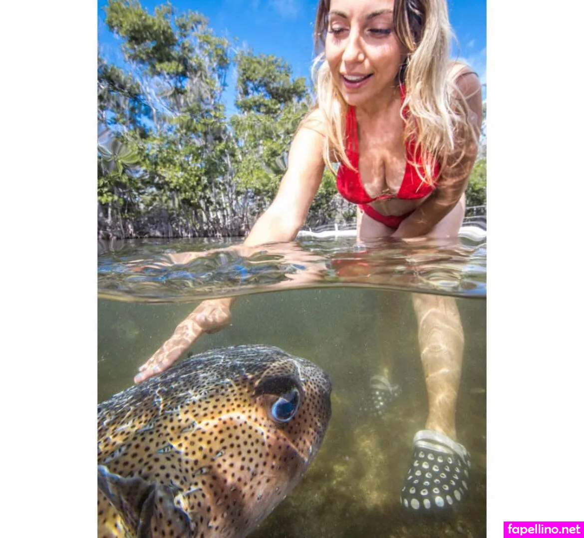 Gabbynikolle Nude Leaked OnlyFans Photo #kovqyg0JGQ