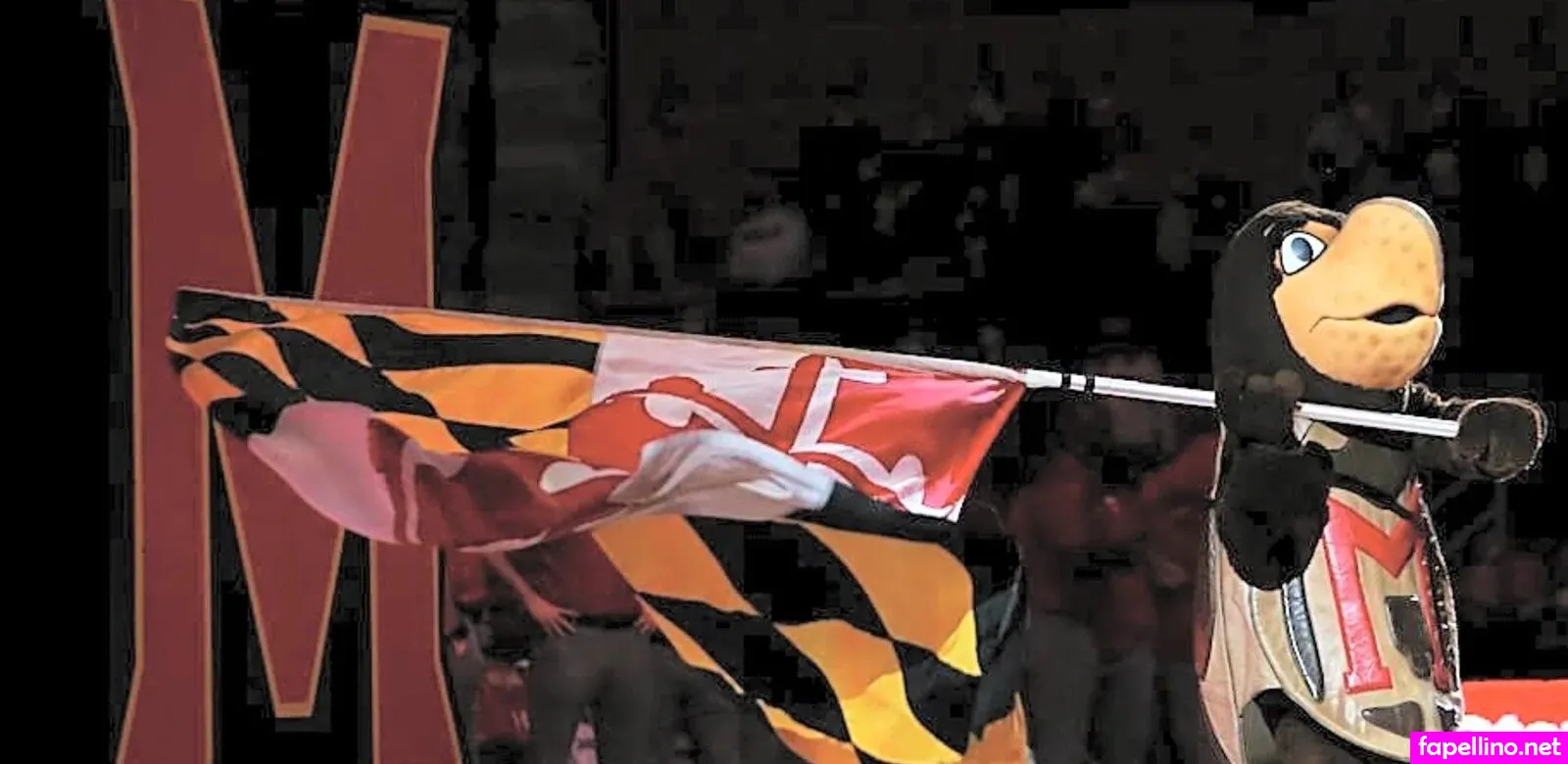 Gaby Mejía Nude Leaked OnlyFans Photo #aRpkLw25w3