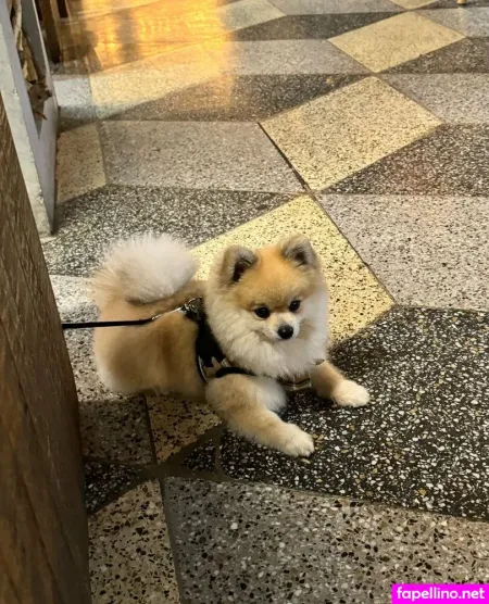 Gabyortega OnlyFans Thumbnail #w72YCiFsu2