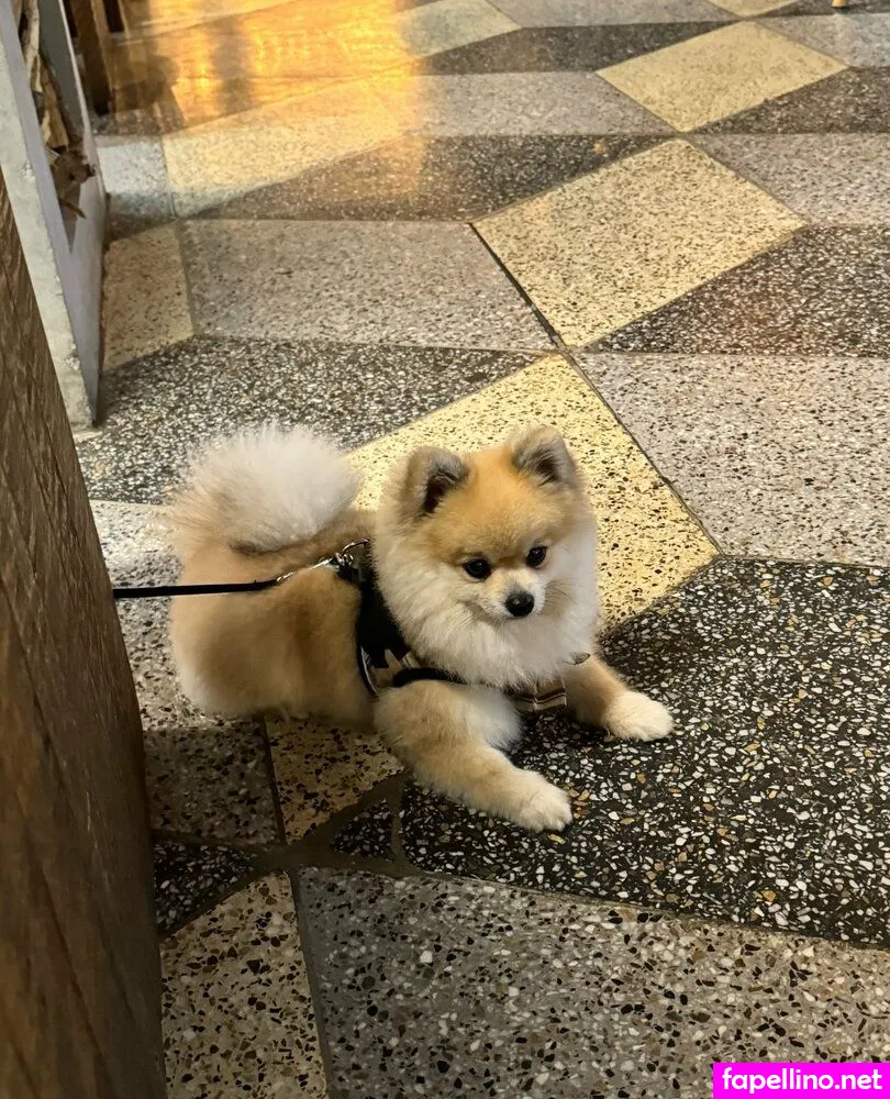 gabyortega, thegabyortega Nude Leaked OnlyFans Photo #w72YCiFsu2