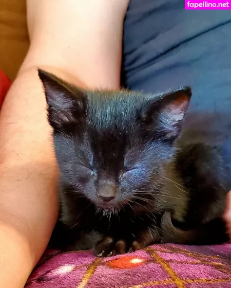 Gaefaeinc OnlyFans Thumbnail #rXZqFBwdSF