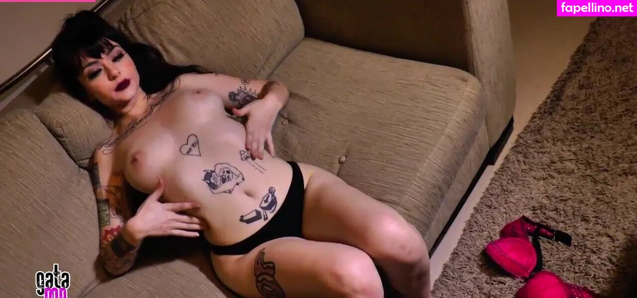 oficialgatatop Nude Leaked OnlyFans Photo #eZK0mTTMRm