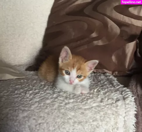 Gatina 22 OnlyFans Thumbnail #JhkMSNVR04