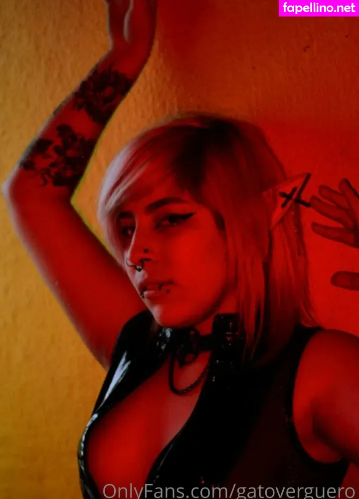 gatoverguero Nude Leaked OnlyFans Photo #E4bukymTol